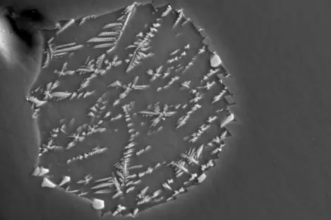 El agua de la Luna es idéntica a la de la Tierra
