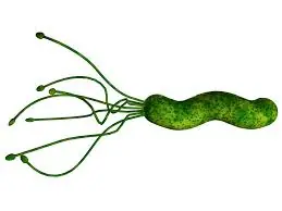 5 años con gastritis y no era, es una bacteria