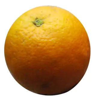 Yo, naranja - Reflexión para los que somos mexicanos