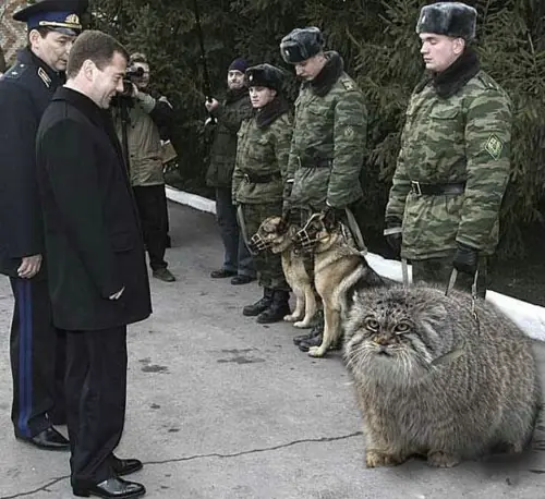 un rato de ocio para ustedes...