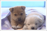 Emoticones Gif para Chat De Facebook Parte 2