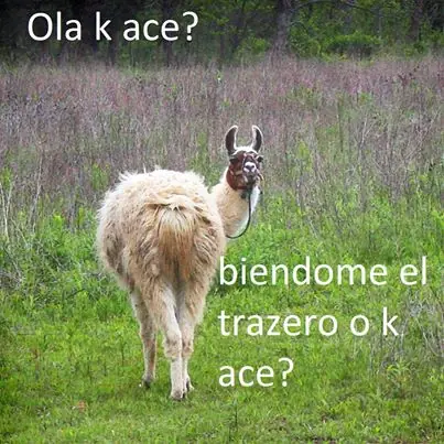 Meme Ola ke ase