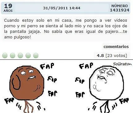 humor