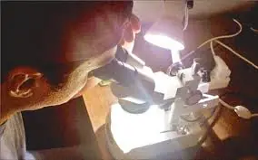 Descubrieron una proteína que resiste a las sequías