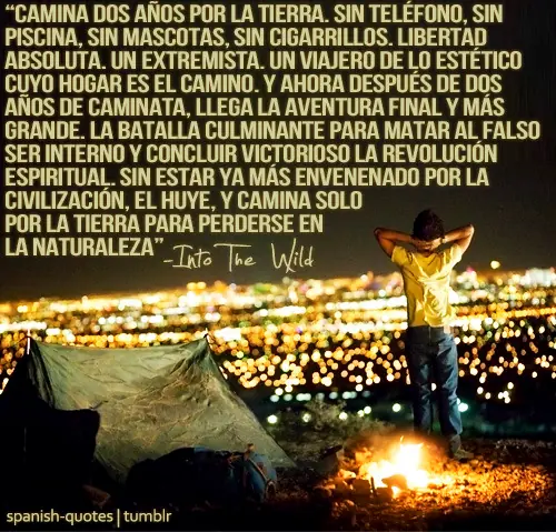 Into the wild (Hacia rutas salvajes).