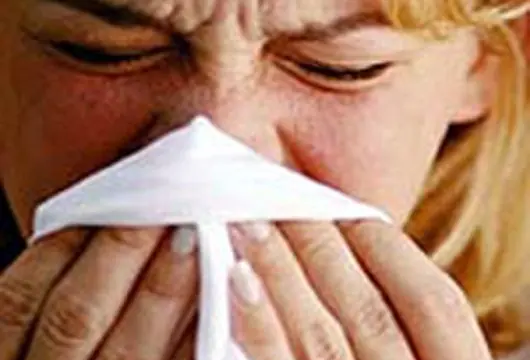 Gripe A o H1N1