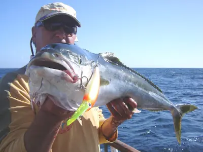 Los peces ¿Sienten Dolor?