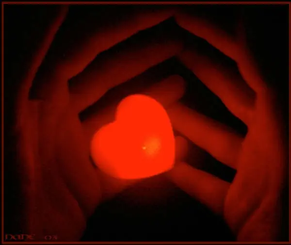 Como Funciona el Corazon (animacion Flash + Info)