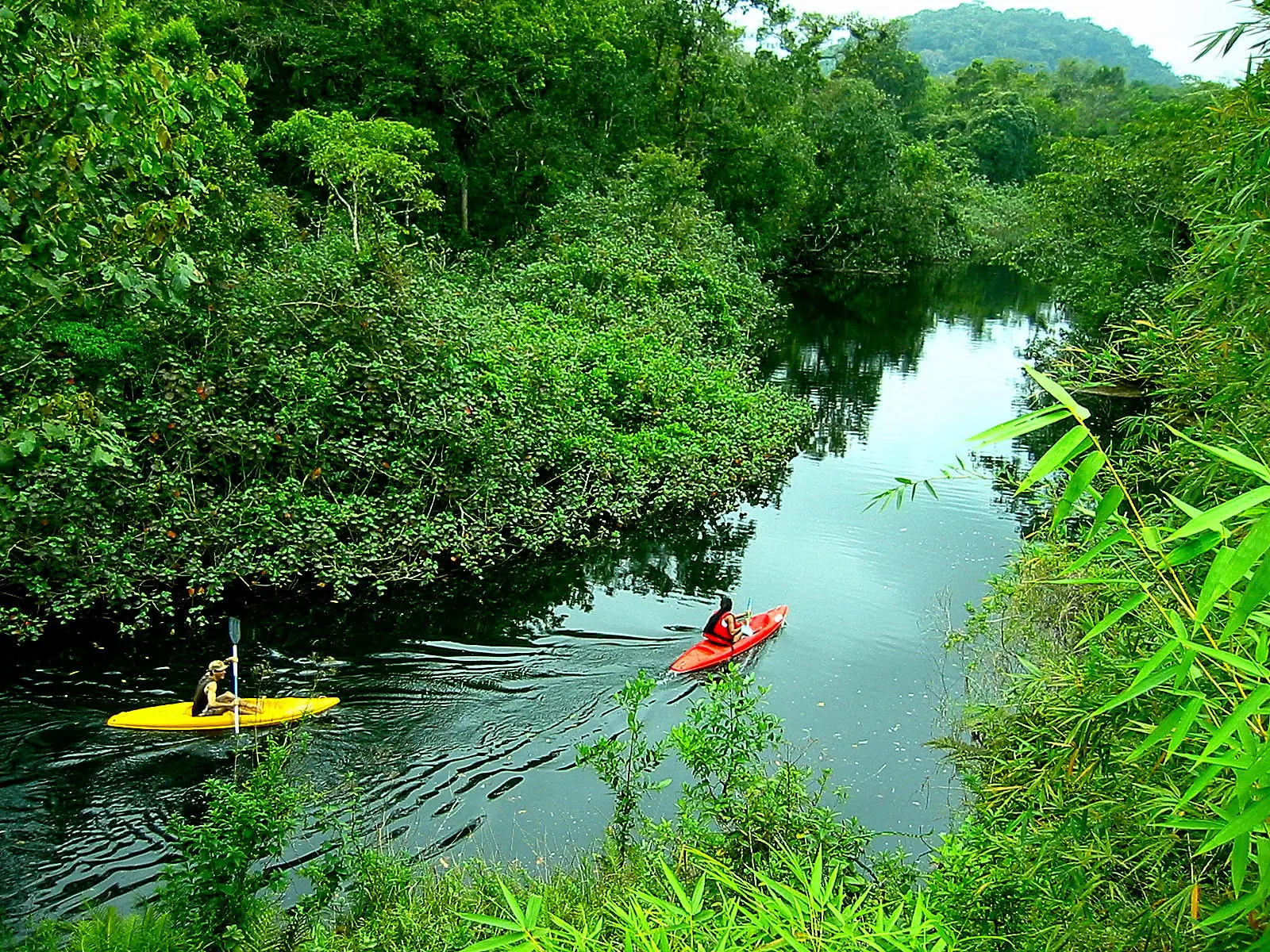 El ecoturismo y el desarrollo sostenible