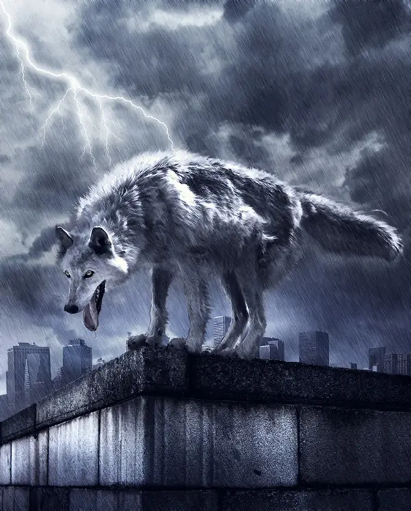 Efecto increible en un lobo