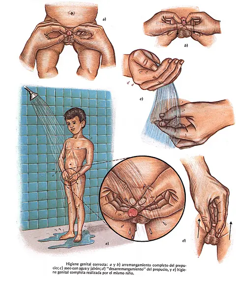 Como mantener limpio tu pene.