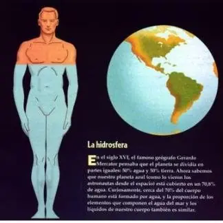 Impresionante...! Descubrimiento Científico...! V.E.A.N.L.O