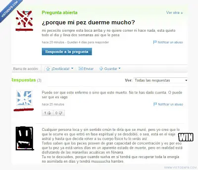 Preguntas Estúpidas de Yahoo! Respuestas.