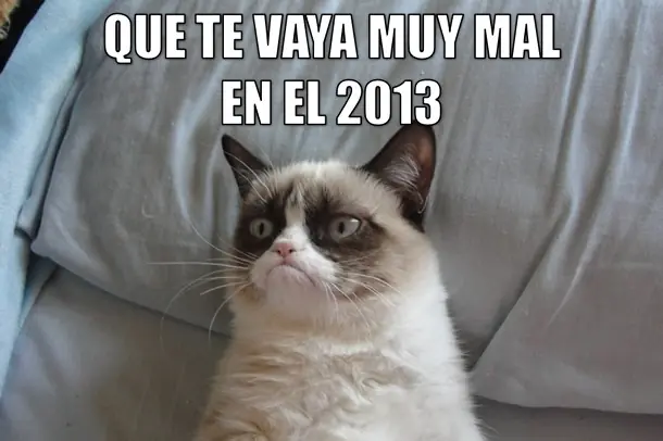 La increíble historia de otro meme: Grumpy Cat