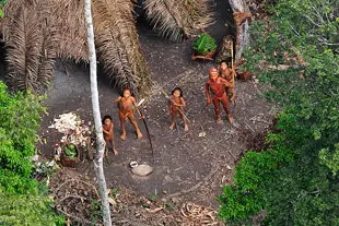 Misterios del Amazonas...