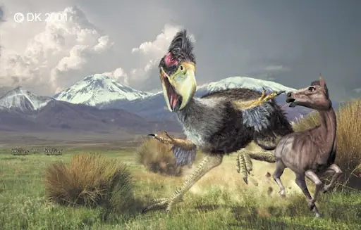 aves del terror Kelenken guillermoi y Paraphysornis brasilie