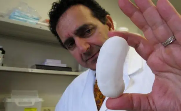 Órganos de trasplante creados en laboratorio