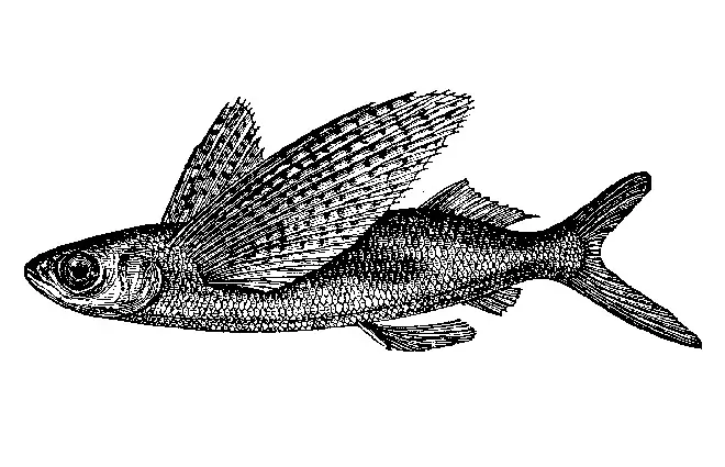 El vestiario de mi zuegra - Doz