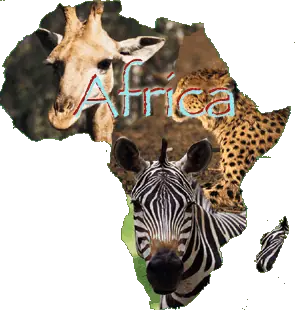 Descubrí la belleza de África