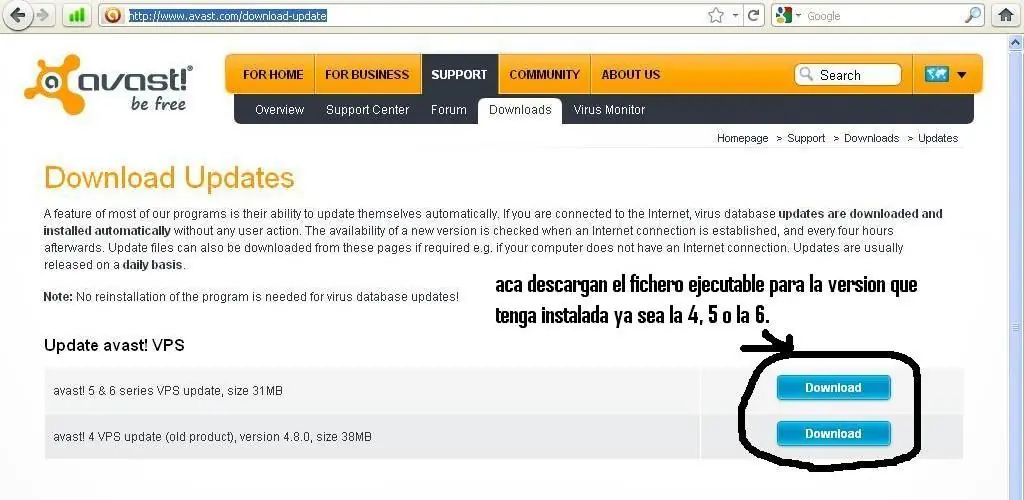 Actualizar Avast versiones 4, 5 y 6 sin conexion a internet