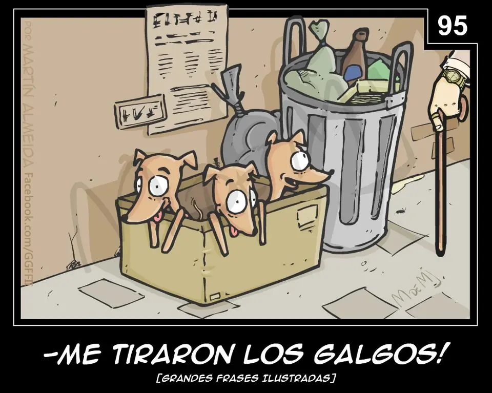 frases
