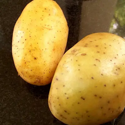Bifes a la criolla argentino