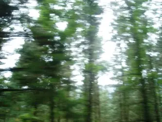 viendo a través de la ventana del autobus ★