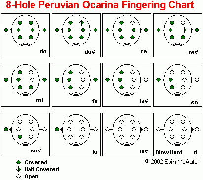 Aprende a Tocar la Ocarina!