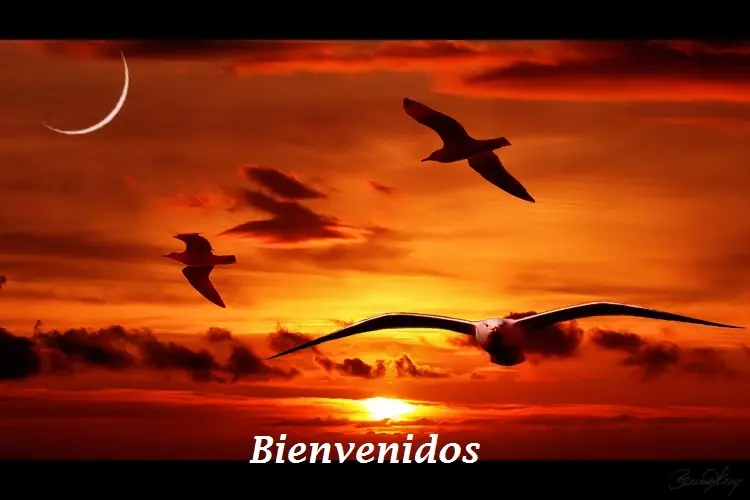 Discurso "las pequeñas cosas de la vida"