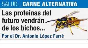 por que soy insectívoro?