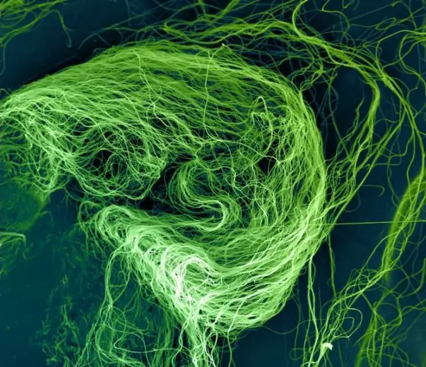Nanofibras con cualidades sobresalientes de robustez y durez
