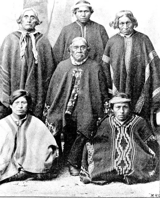 mapuches