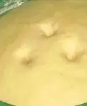 buena receta