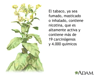 Las 5 preguntas más frecuentes sobre el tabaquismo