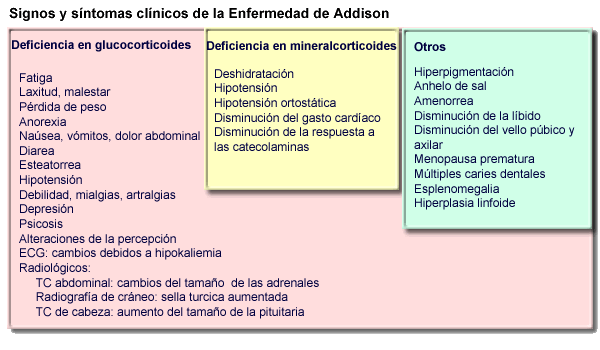 Enfermedad de Addison