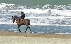 ¿Cuando comienzan las Vacaciones de invierno?