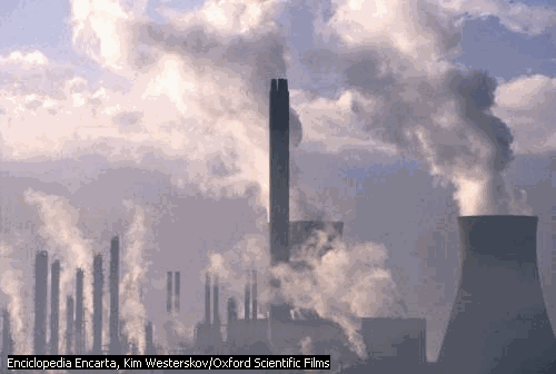 Dia Mundial del Medio Ambiente