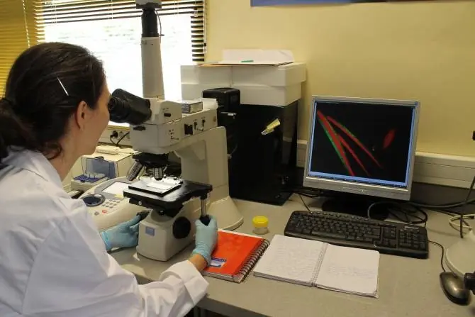 Diseñan un material "inteligente" que libera agen