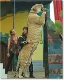 Animales Hibridos, Datos, imagenes...