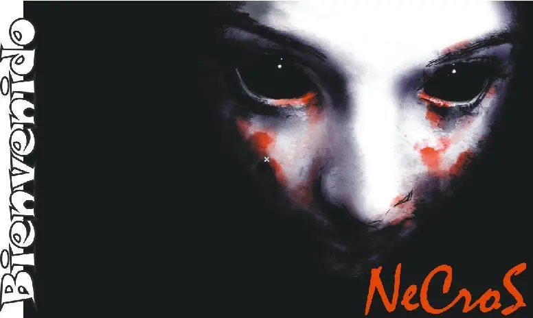 Alternativa al Uso de Flash Player