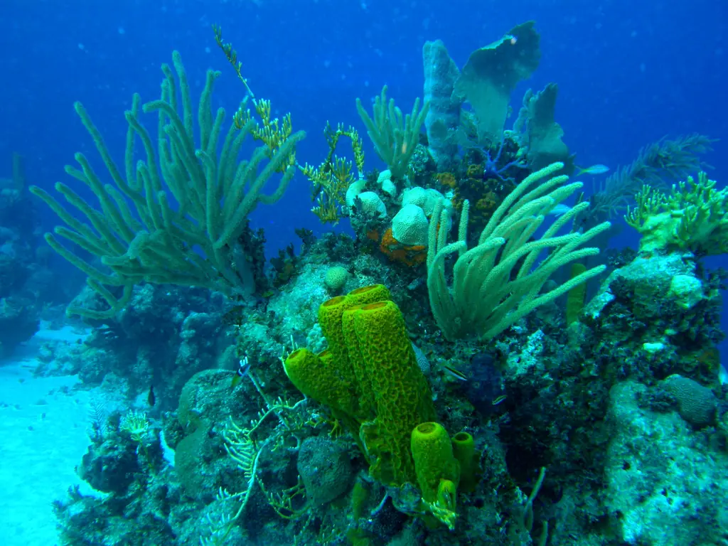 Las 7 ciudades bajo el Mar