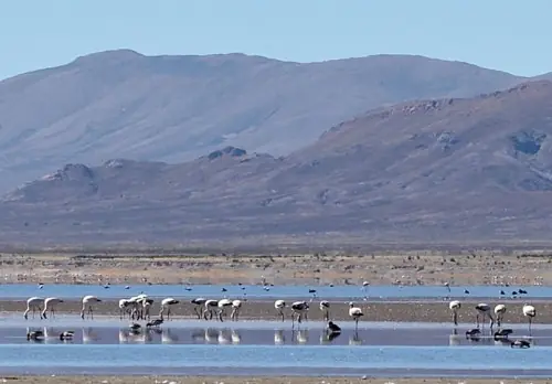 Argentina