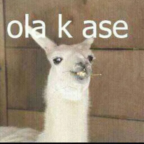 Ola k ase?