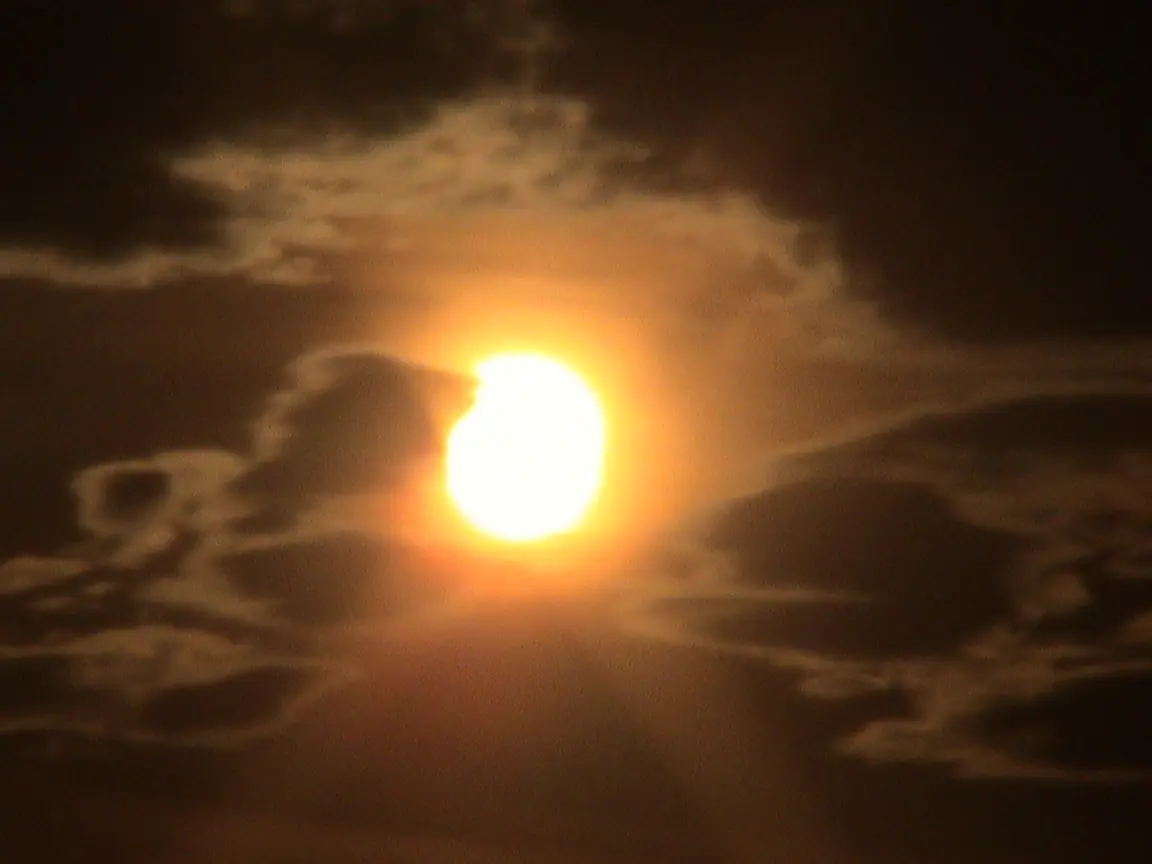 El Sol y la Tierra Vivos ?
