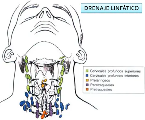 Drenaje linfatico manual