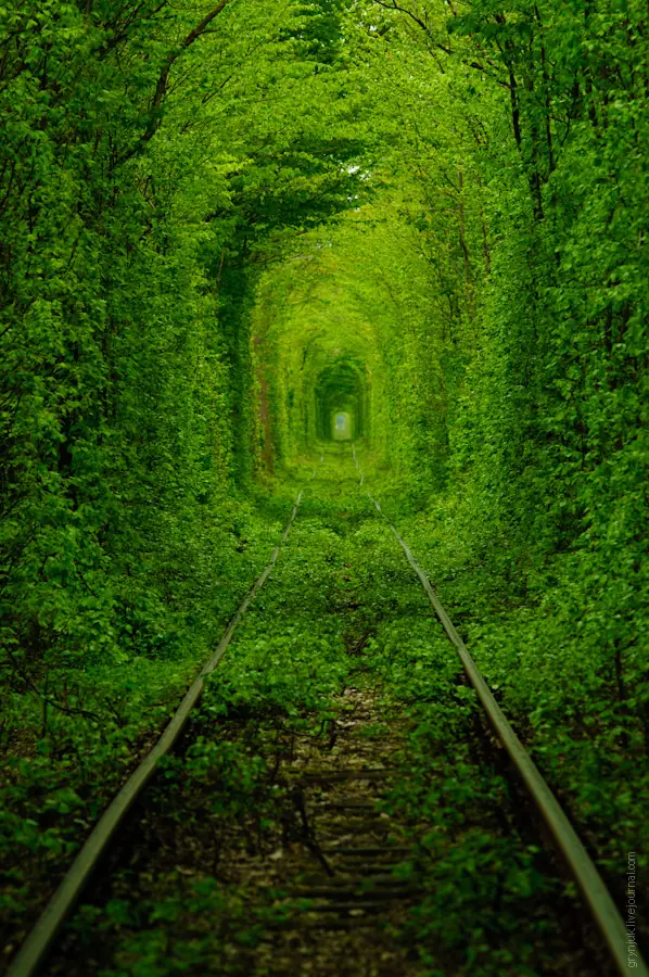 informantes