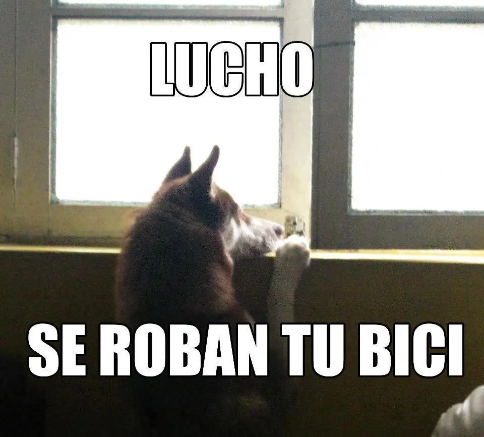 humor