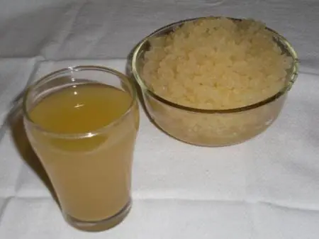 Bulgaros de Agua (para hacer agua con sabor a tepache)