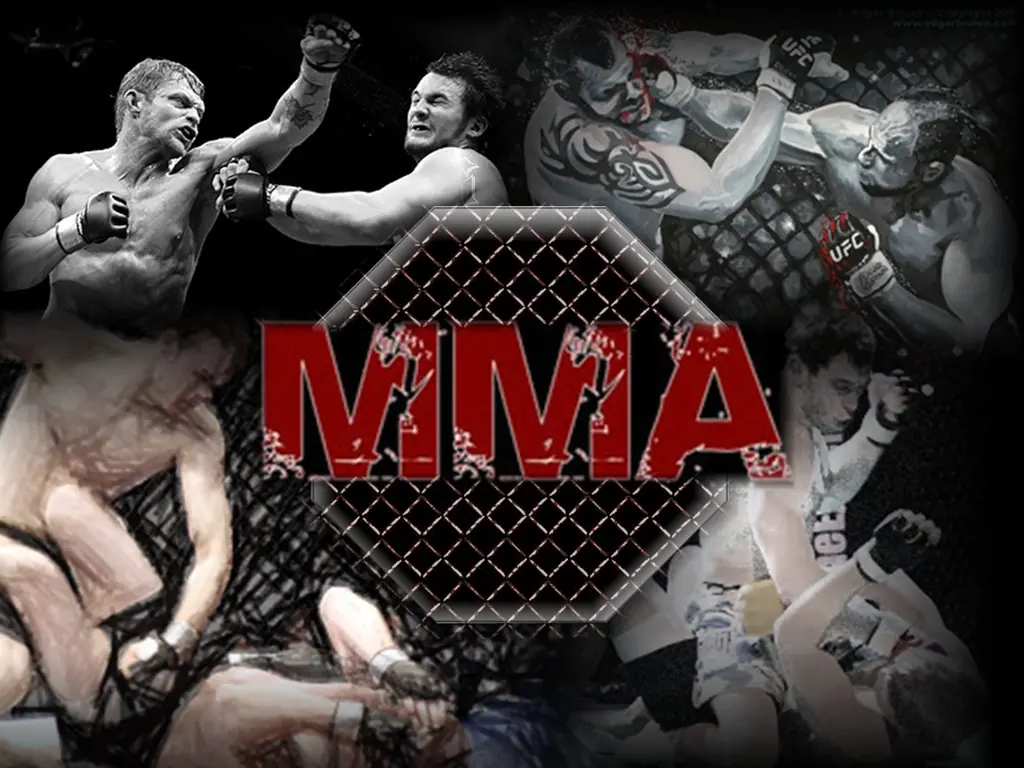 Artes Marciales Mixtas ( MMA) reglas