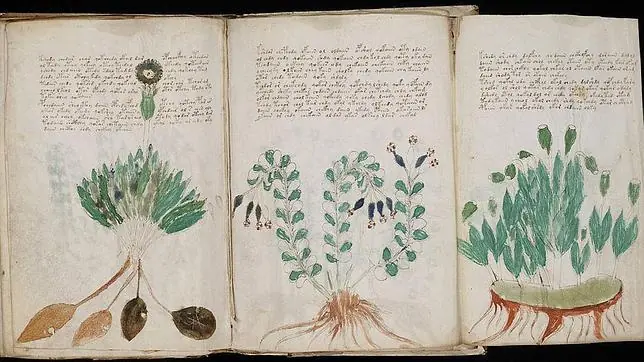 Hallan indicios de un idioma secreto en el misterioso libro